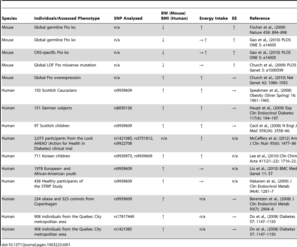 Overview about the most relevant Fto studies analyzing food intake and energy expenditure in mice and humans.