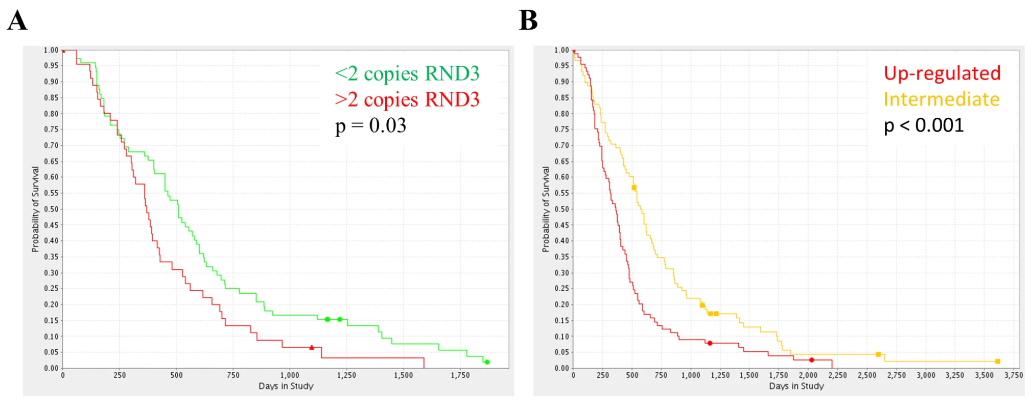 RND3 expression and copy number variation is a significant risk factor for glioma patients.