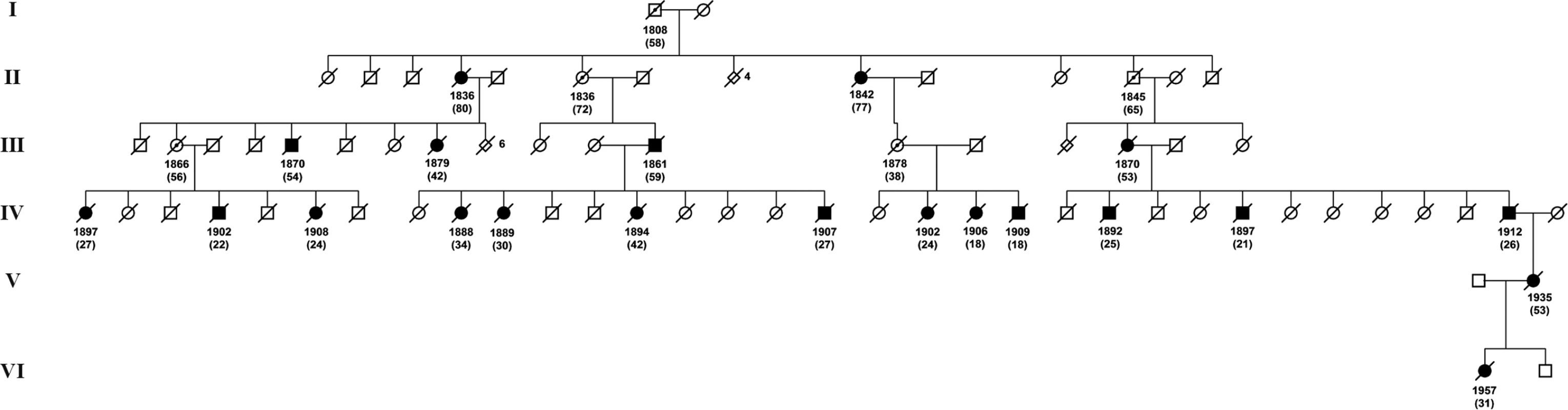 One of the HCCAA pedigrees.