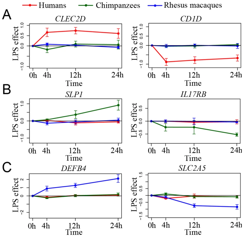 Species-specific responses to infection.