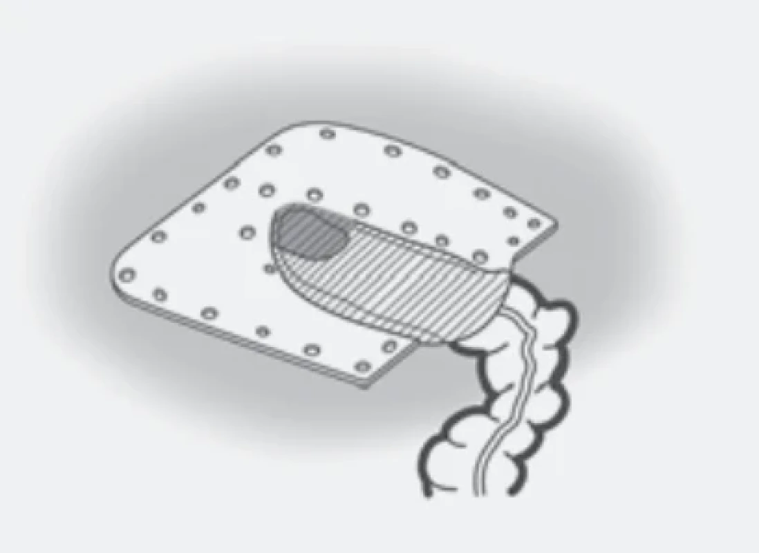  / Fig. 6.
