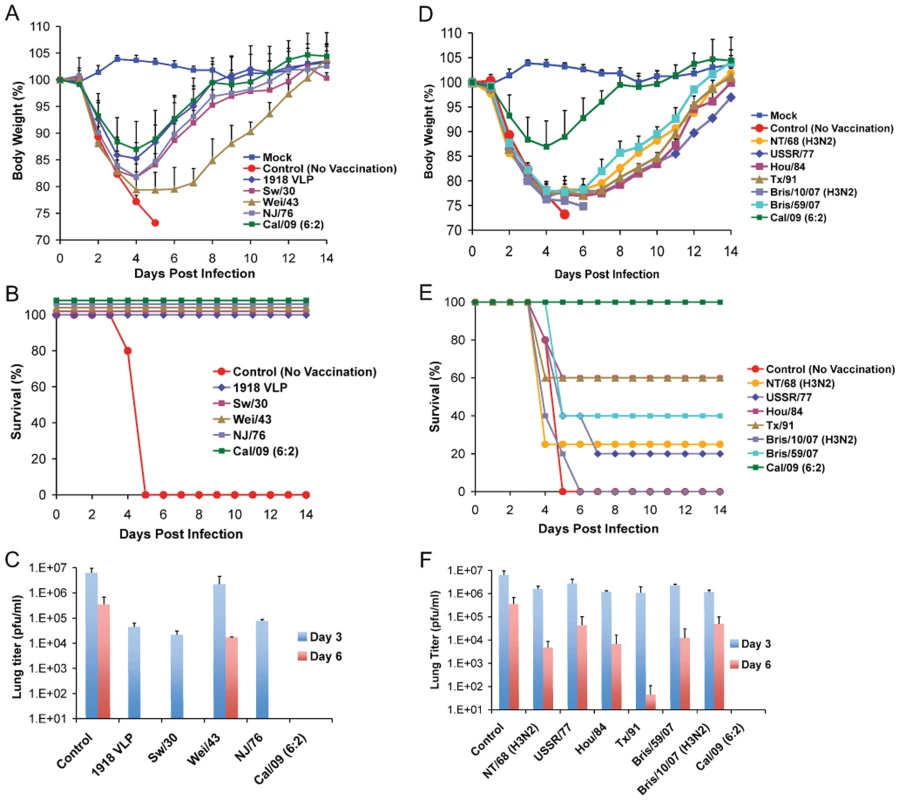 Vaccination of mice with 1918, 1943 and classical swine H1N1 virus-based inactive vaccines protects against Neth/09 lethal infection.