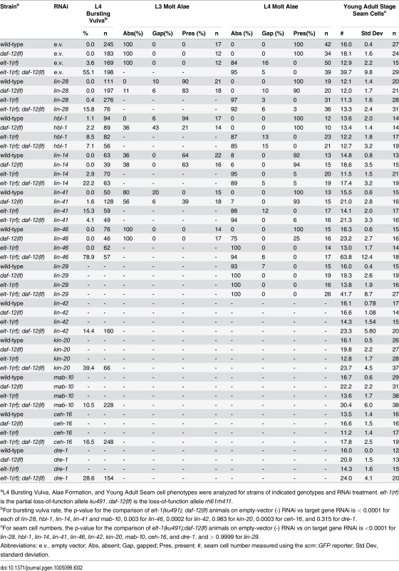 Epistasis analysis of <i>elt-1(ku491); daf-12(rh61rh411)</i> mutant phenotypes with RNAi of other heterochronic genes.