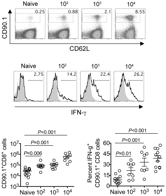 <i>Listeria monocytogenes</i> infection during pregnancy disrupts fetal tolerance.