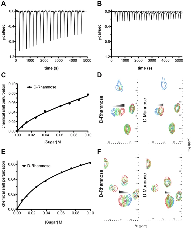 Pyocin L1 shows specificity for d-rhamnose compared with d-mannose.