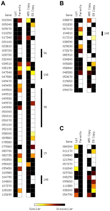 Parental and allopolyploid expression patterns from extreme differentially expressed genes.