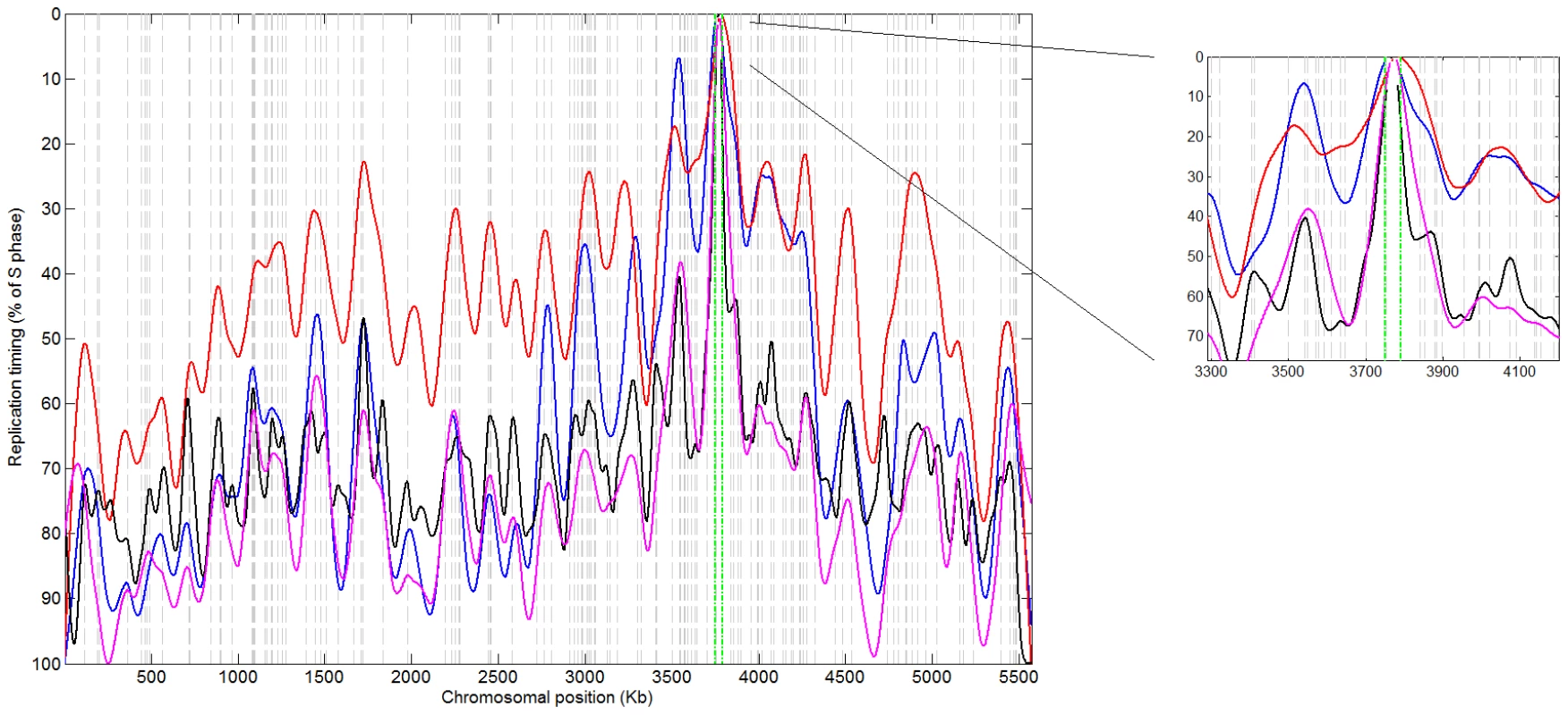 Replication timing profile of <i>S. pombe</i> chromosome 1.