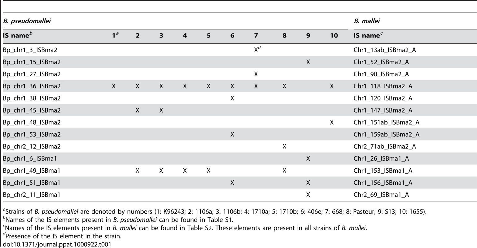 IS elements matched across strains of <i>B. mallei</i> and <i>B. pseudomallei</i>.