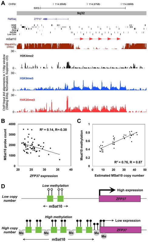 Association of MSat10 copy number with neighboring gene expression and epigenetic marks.