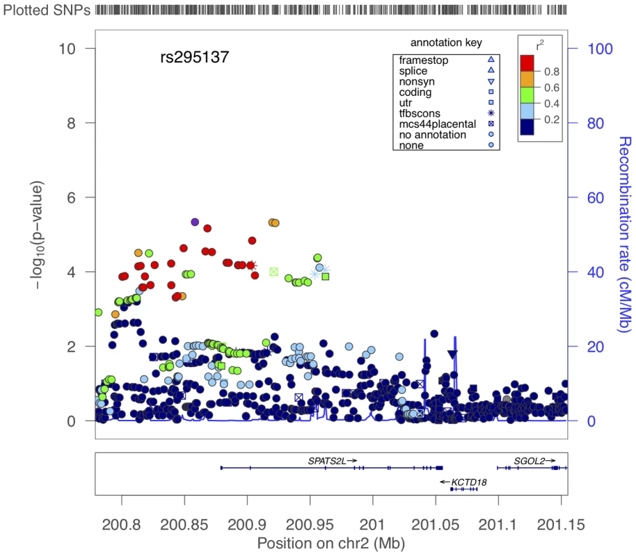 Region of association near <i>SPATS2L</i> SNPs to BDR.