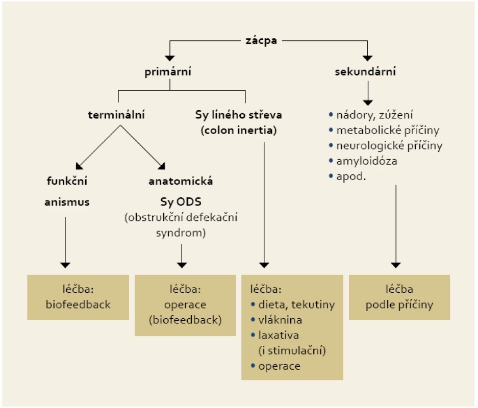 Třídění a principy léčby zácpy.
Fig. 1. Constipation classification and principles of treatment.