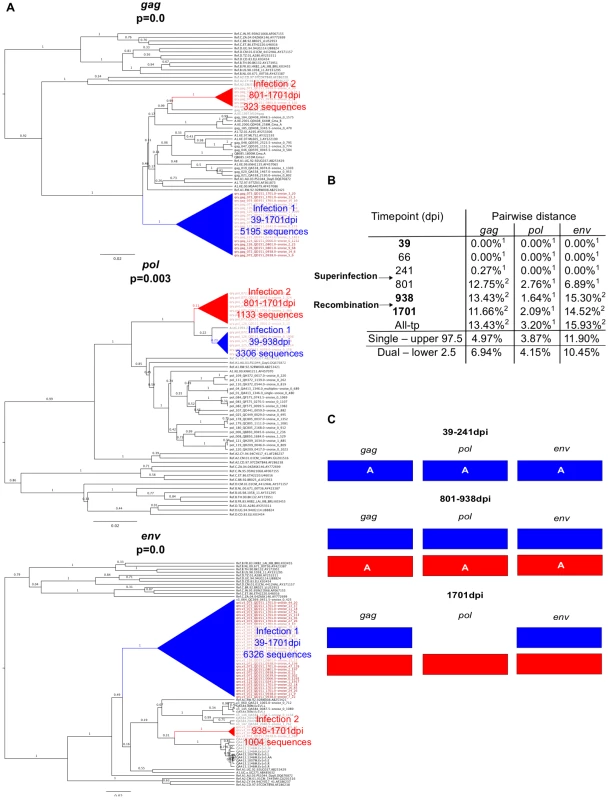 Superinfection case QD151.