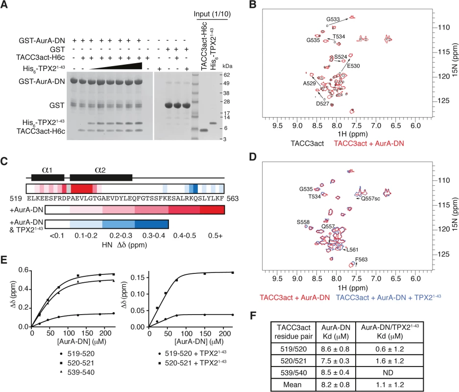 Biophysical characterisation of Aurora-A binding to TACC3act and comparison with TPX2<sup>1-43</sup>.