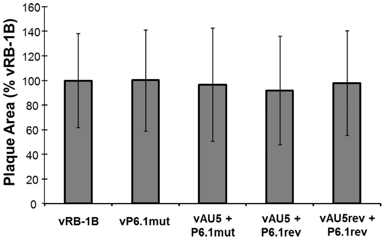 <i>In vitro</i> replication of parental, mutant, and revertant viruses.