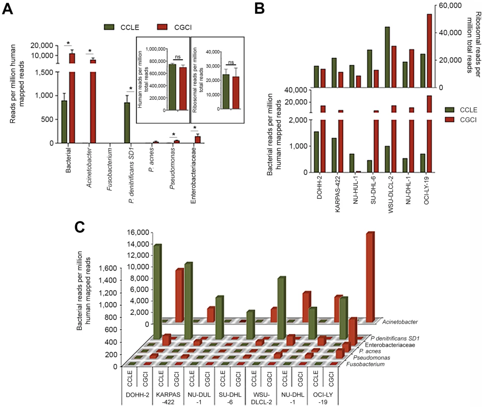 Seven RNA-seq DLBCL cell line datasets sequenced in two different studies (CCLE and CGCI) were analyzed using RNA CoMPASS.