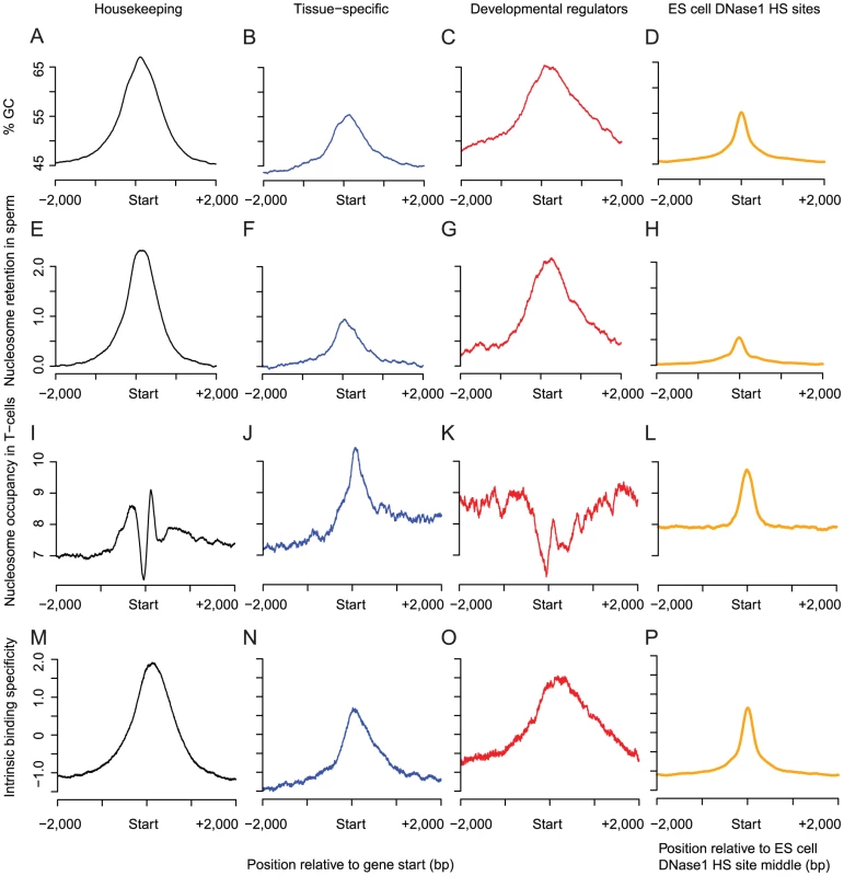 GC-content predicts variation in nucleosome retention among gene classes and at distal regulatory regions.