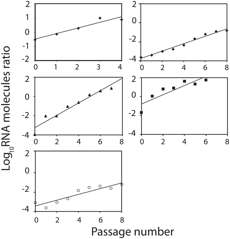 Growth-competition between FMDV mutants.