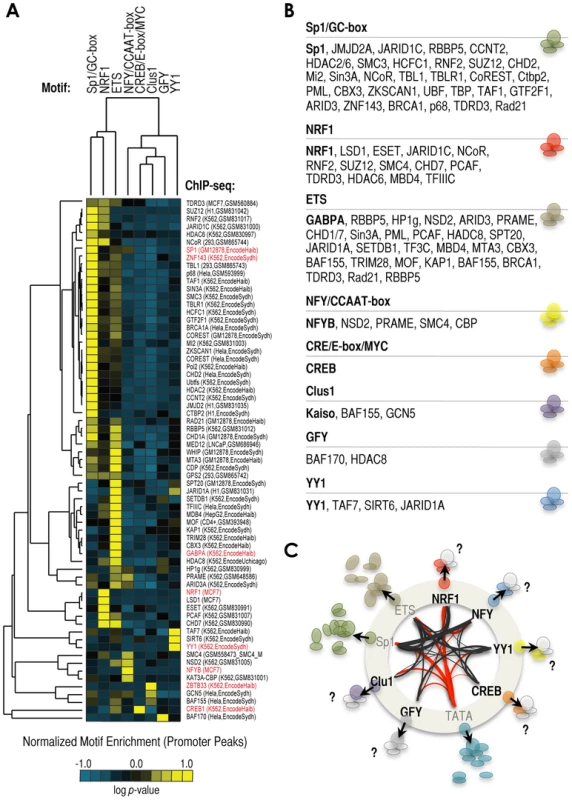 Signature of cofactors associated with the enrichment of a specific cardinal motif.