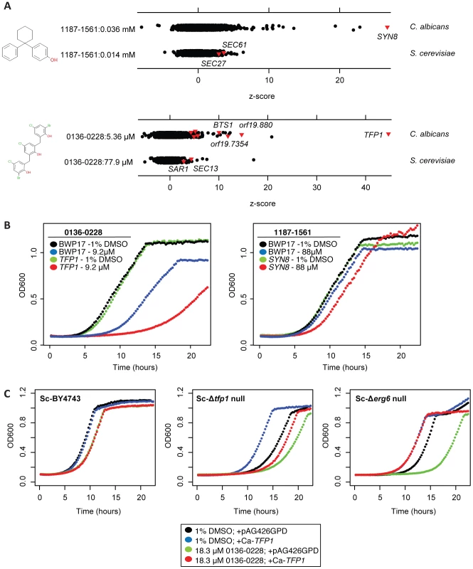 0136–0228 and 1187–1561 also inhibit vesicle transport in <i>C. albicans</i>.