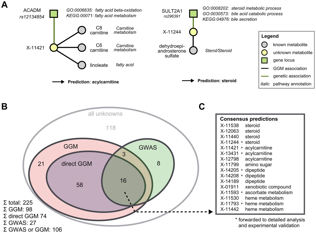 Semi-automatic prediction of unknown metabolite identities.
