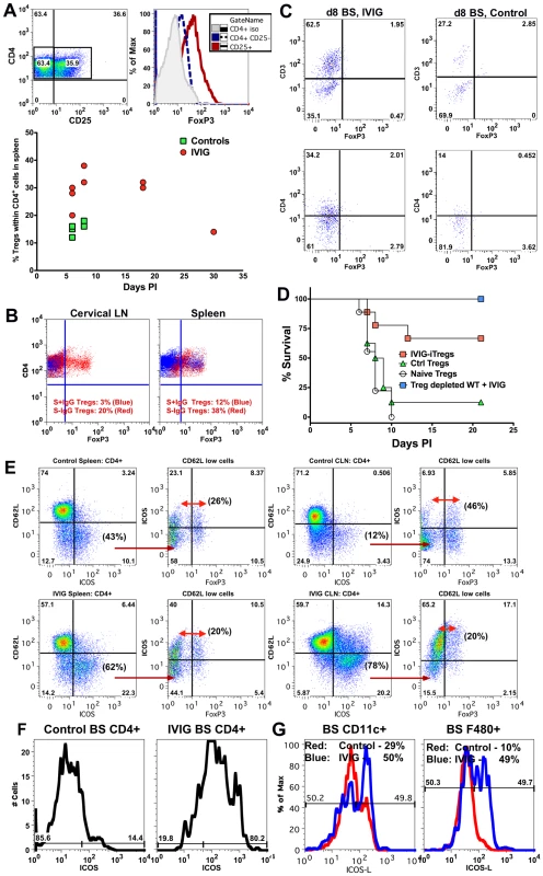 IVIG induced Tregs mediate but are not essential for anti-inflammatory effects in the CNS.