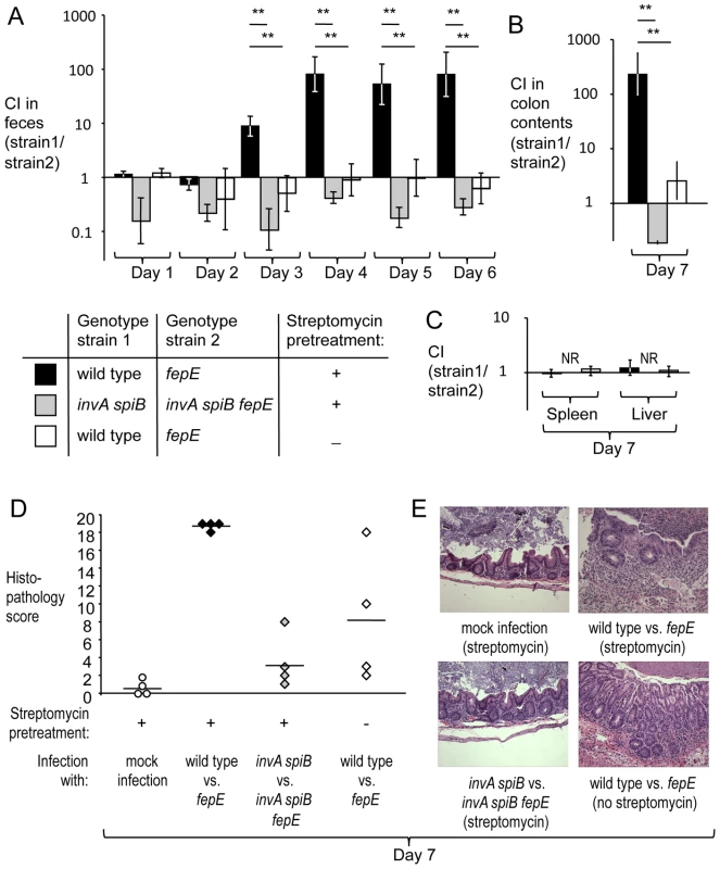 Very long O-antigen chains confer a fitness advantage in the lumen of the inflamed gut.