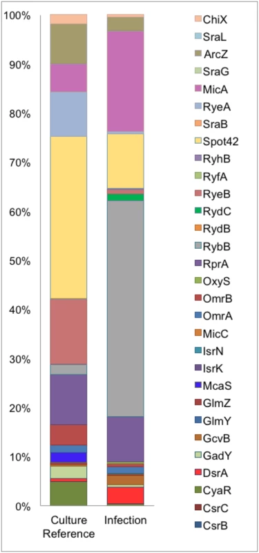 Differential sRNA expression during infection.