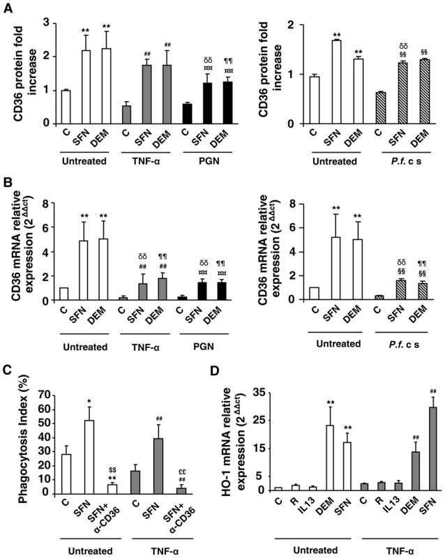 Nrf2 activators promote CD36 expression and enhance CD36-mediated <i>Pf</i>PEs phagocytosis in inflammatory conditions.