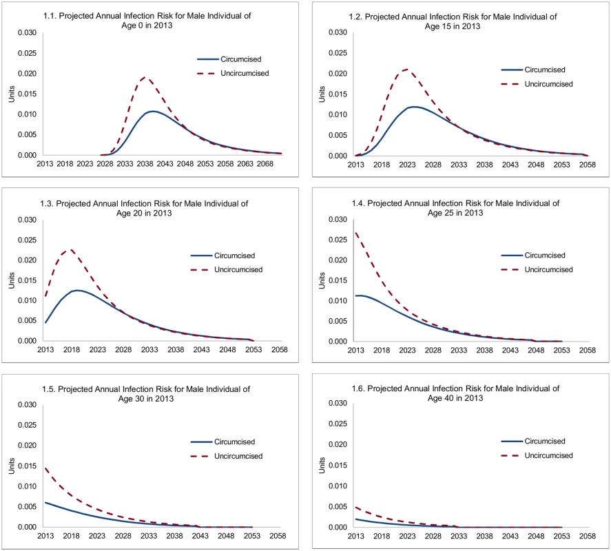 Projected annual infection risk for male individual, by age.