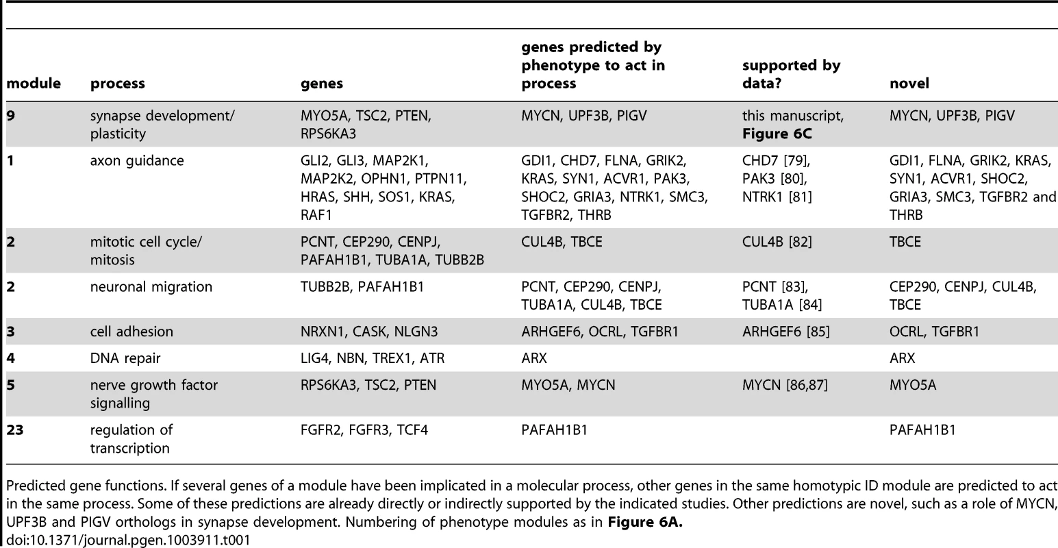 Predicted gene functions.