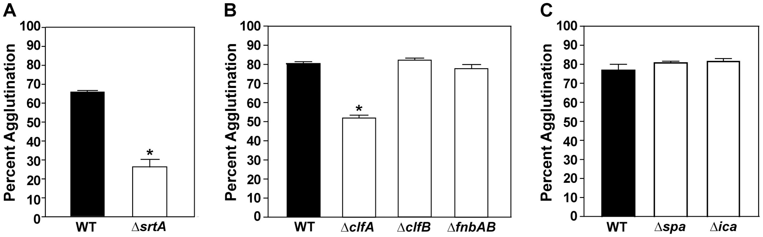 MSCRAMMs are required for agglutination.