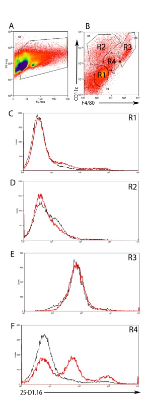 Expression of MHCI-peptide complexes in the liver.