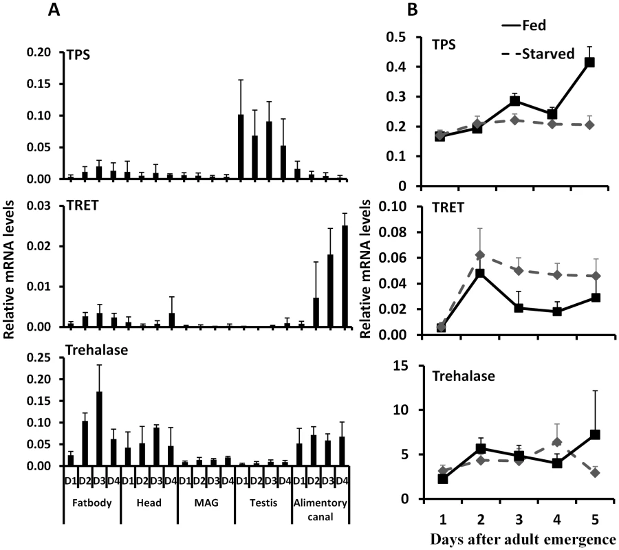 The relative mRNA levels of TRET, TPS, and trehalase in the fat body, head, male accessory gland, testis, and alimentary canal.