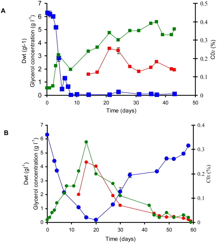 Continuous culture of <i>M. bovis</i> BCG and ▵<i>icl</i>1 at a dilution rate of 0.01 h<sup>−1</sup> (t<sub>d</sub> = 69.3 h).