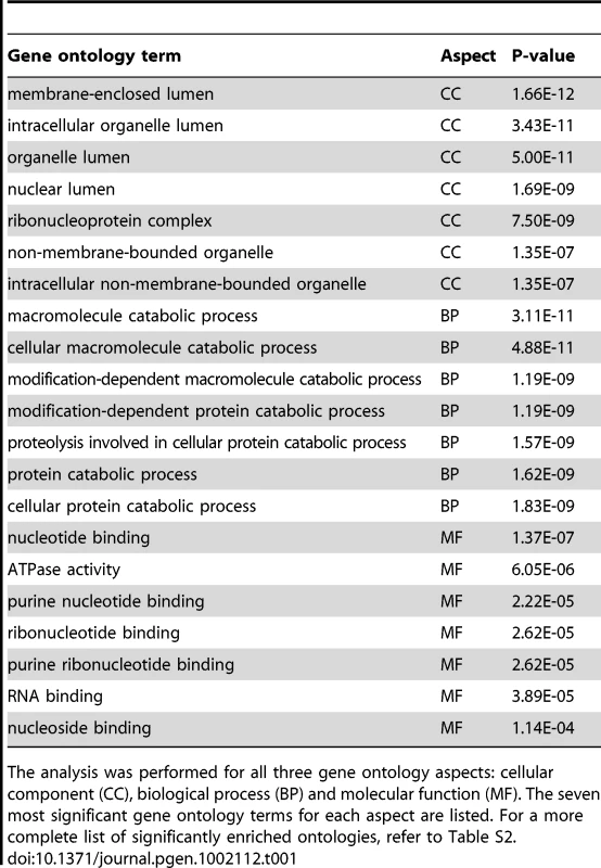 Gene ontology analysis for the transactive genes associated with PADI4 binding in MCF-7 cells.