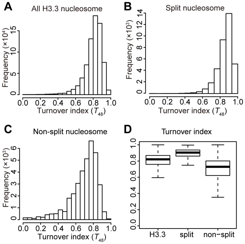Moderate correlation between the H3.3 turnover index and splitting index.