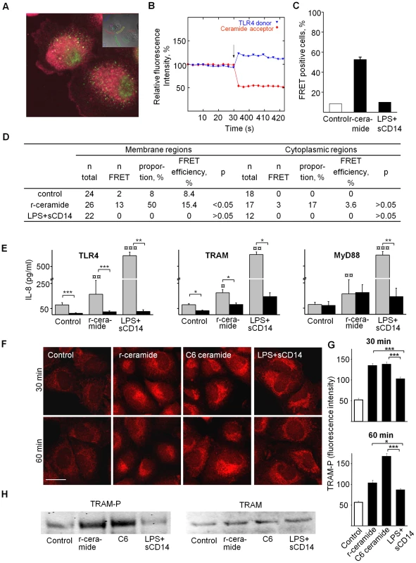 Ceramide-TLR4 interactions, adaptors and TRAM phosphorylation.