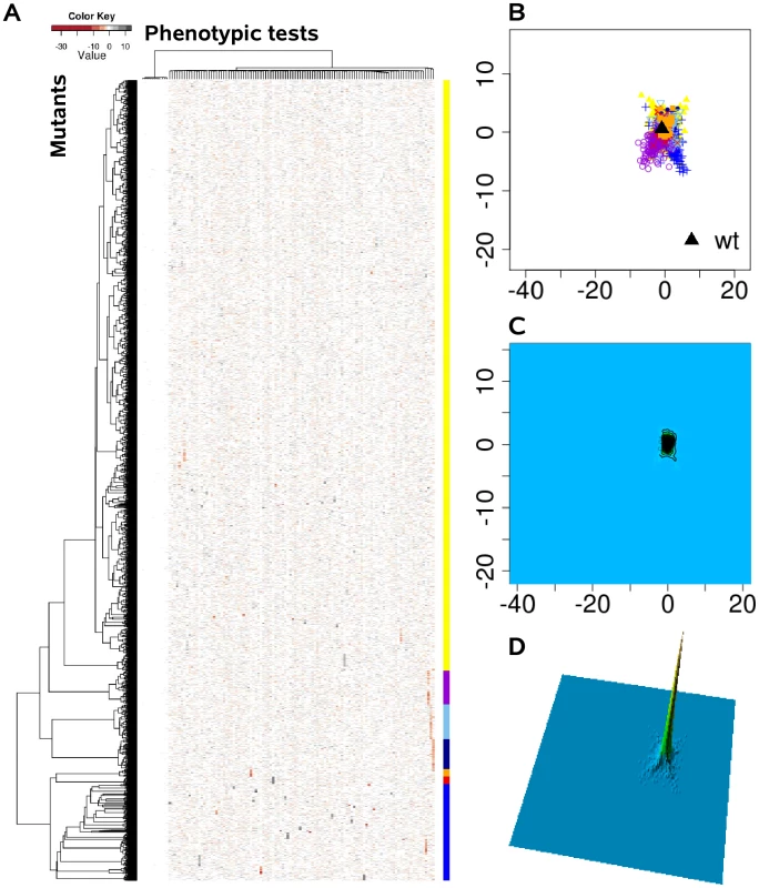 The phenome landscape for permutated values.