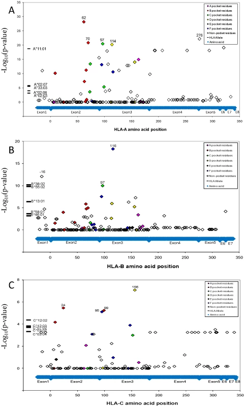 NPC associations of HLA alleles and amino acid variants.