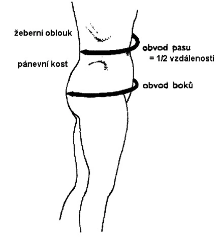 Doporučené umístění páskové míry při měření obvodu pasu