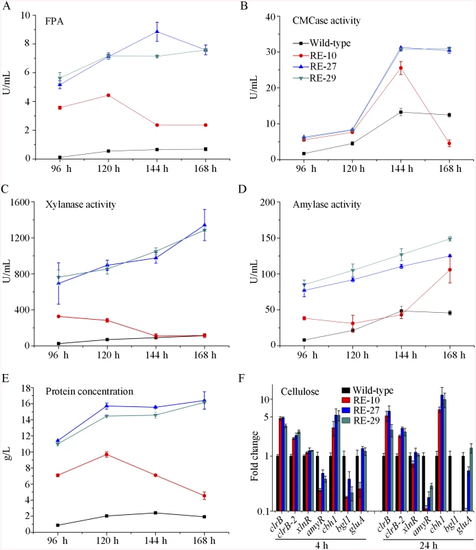 Overexpression of <i>clrB</i> or <i>xlnR</i> in triple-mutant RE-10 enhanced hydrolase expression under inducer-inducing conditions.