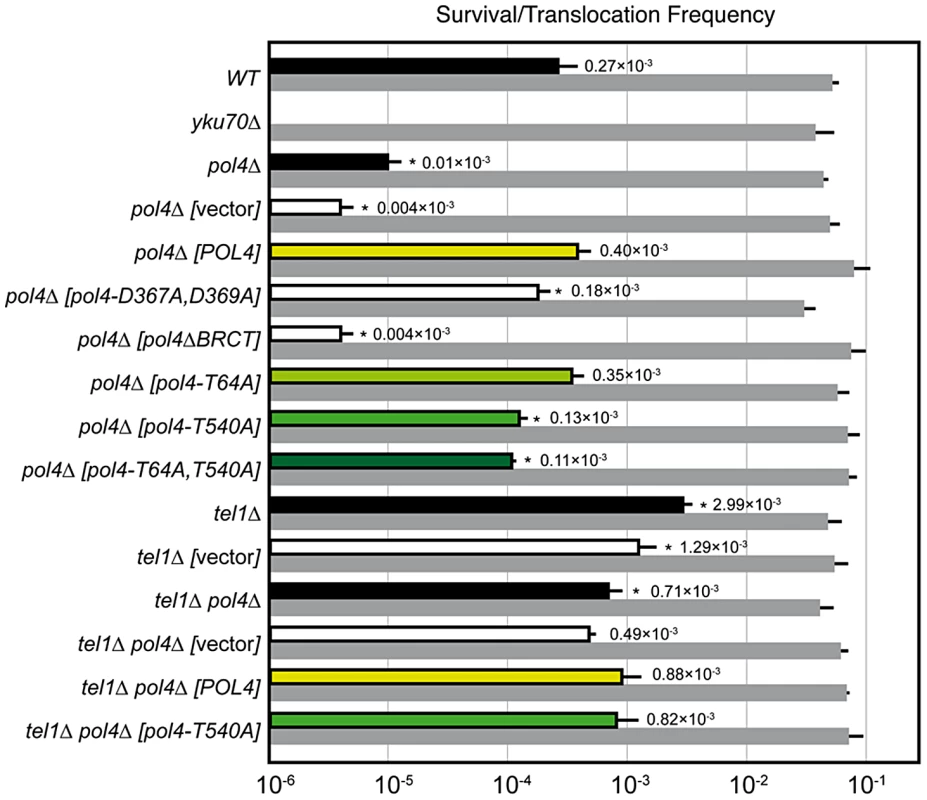 NHEJ-mediated repair of DSBs with partially-complementary overhangs.