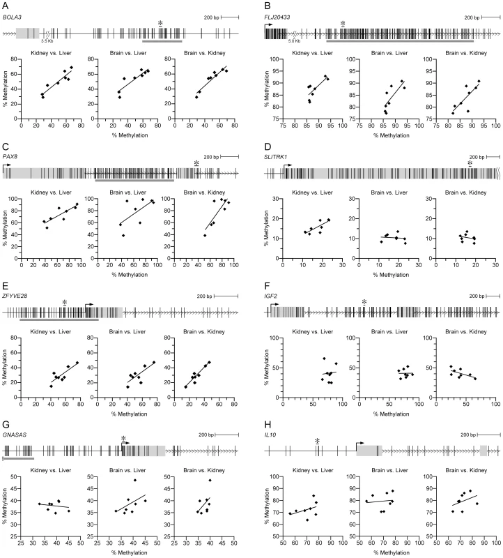Candidate MEs, but not control genes, show systemic interindividual variation in DNA methylation.