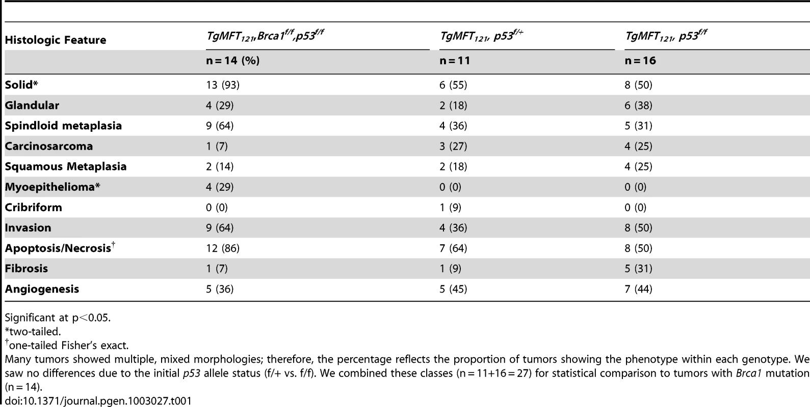 Characteristics of TP and TBP tumors.