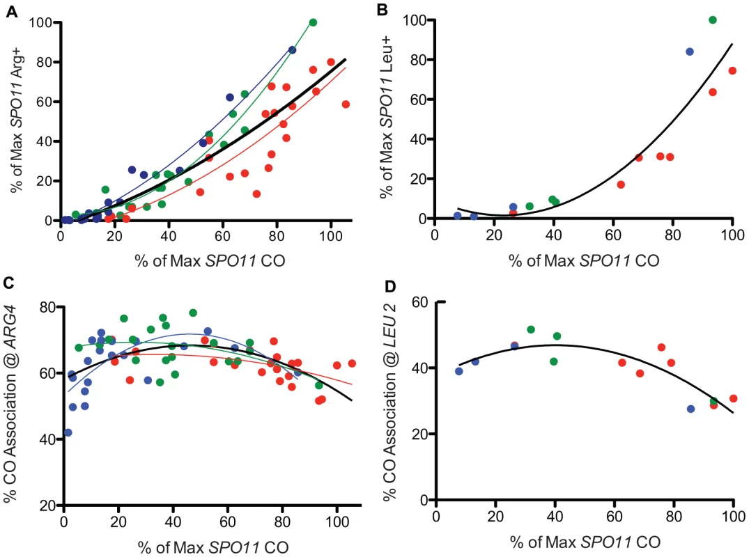 Prototroph formation and CO association in <i>spo11</i> hypomorphs.