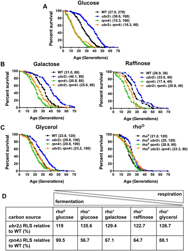Proteasome-mediated impact on RLS is attenuated in response to the carbon source.