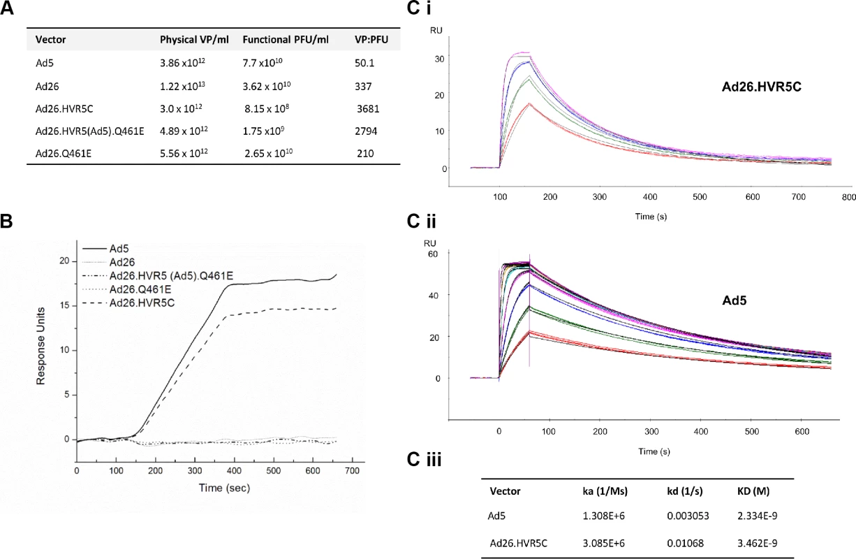 Generation of Ad26 hexon modified vectors and effects on FX binding by SPR.