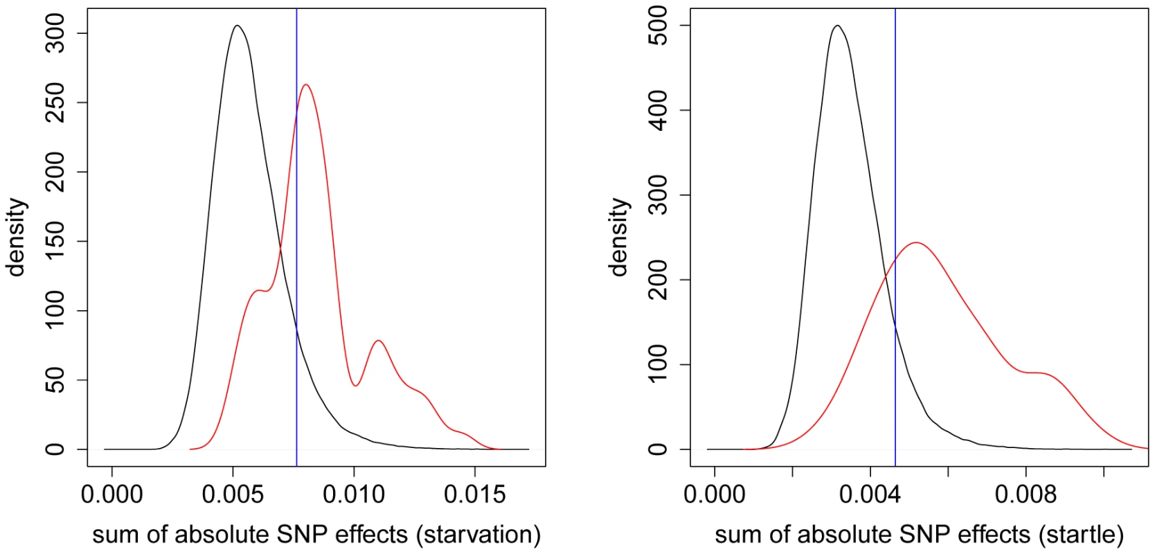 Distribution of absolute SNP effects.