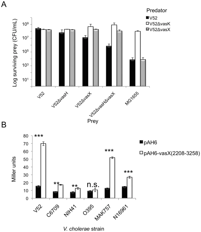 <i>VasX</i> contains a promoter to drive expression of <i>tsiV2</i> in several <i>V. cholerae</i> strain backgrounds.