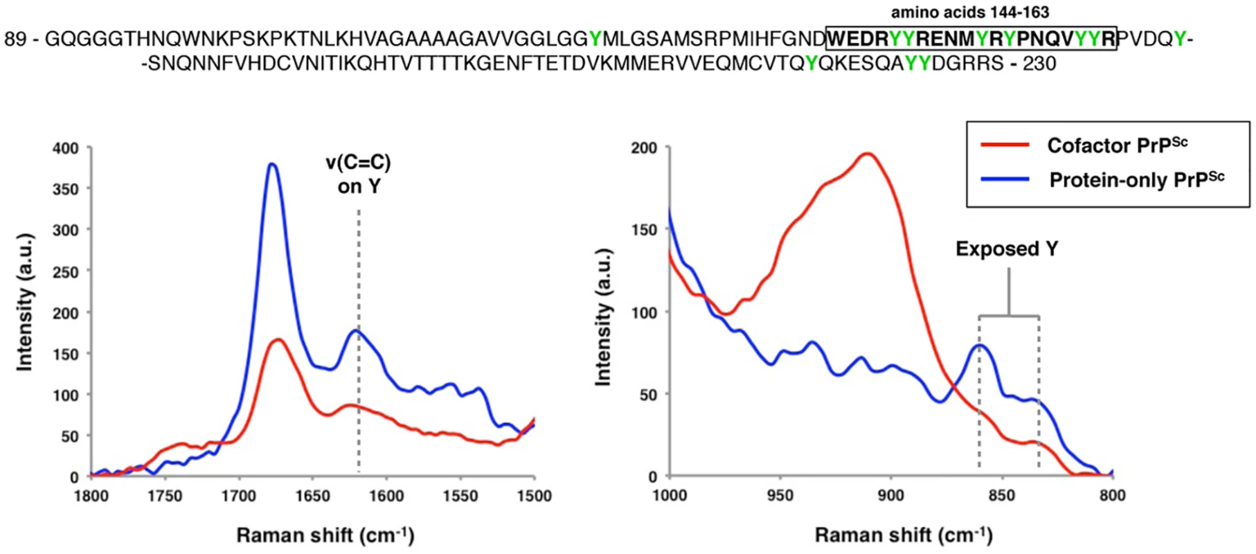 Raman spectroscopy of cofactor and protein-only PrP<sup>Sc</sup>, focusing on spectral regions assigned to tyrosine side chains.